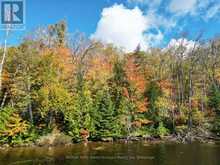 353C BALSAM CREEK ROAD | Parry Sound Ontario | Slide Image Two