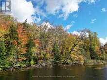 353C BALSAM CREEK ROAD | Parry Sound Ontario | Slide Image Three
