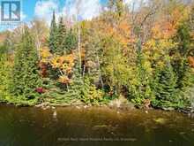 353C BALSAM CREEK ROAD | Parry Sound Ontario | Slide Image Five