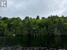 353C BALSAM CREEK ROAD | Parry Sound Ontario | Slide Image Seven