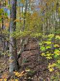 353C BALSAM CREEK ROAD | Parry Sound Ontario | Slide Image Eight