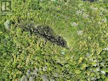 101 LOG CABIN LANE | Georgian Bluffs Ontario | Slide Image Five
