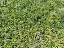 101 LOG CABIN LANE | Georgian Bluffs Ontario | Slide Image Six