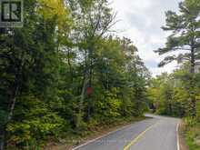 15 OAKRIDGE ROAD N | McDougall Ontario | Slide Image Six