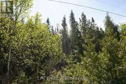 76 MYLES DRIVE | Lion's Head Ontario | Slide Image Ten