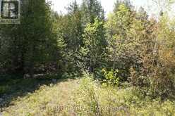 76 MYLES DRIVE | Lion's Head Ontario | Slide Image Nine