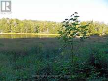0 ANGLE ROAD | Dwight Ontario | Slide Image Ten