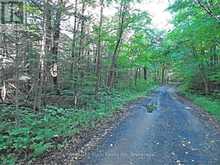 0 ANGLE ROAD | Dwight Ontario | Slide Image Six
