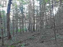 0 ANGLE ROAD | Dwight Ontario | Slide Image Nine