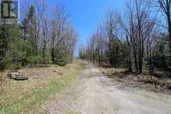 0 534 HIGHWAY | Parry Sound Ontario | Slide Image Ten
