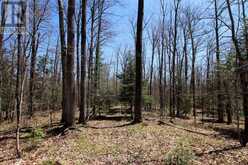 0 534 HIGHWAY | Parry Sound Ontario | Slide Image Four