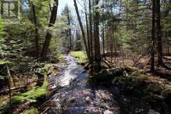 0 534 HIGHWAY | Parry Sound Ontario | Slide Image Five