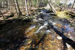 0 534 HIGHWAY | Parry Sound Ontario | Slide Image Six