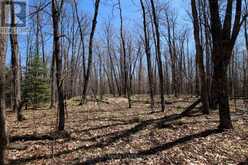 0 534 HIGHWAY | Parry Sound Ontario | Slide Image Eight