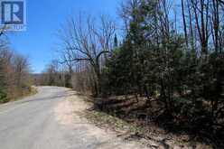 0 534 HIGHWAY | Parry Sound Ontario | Slide Image Nine