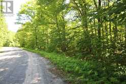 0 534 HIGHWAY | Parry Sound Ontario | Slide Image Fourteen