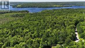 0 534 HIGHWAY | Parry Sound Ontario | Slide Image One