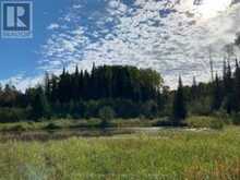 556 HIGHWAY 518 W | Emsdale Ontario | Slide Image Eighteen