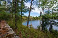 250 CLEAR LAKE ROAD | Seguin Ontario | Slide Image Four
