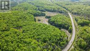 PART 1 HIGHWAY 118 | Highlands East Ontario | Slide Image Four