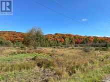 PART 3 HIGHWAY 118 | Highlands East Ontario | Slide Image Thirteen