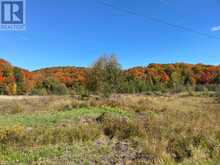 PART 3 HIGHWAY 118 | Highlands East Ontario | Slide Image Fourteen