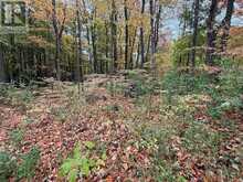 LOT 8 GREEN ACRES ROAD | Flesherton Ontario | Slide Image Fifteen