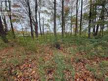 LOT 8 GREEN ACRES ROAD | Flesherton Ontario | Slide Image Sixteen