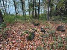 LOT 8 GREEN ACRES ROAD | Flesherton Ontario | Slide Image Seventeen