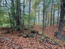 LOT 8 GREEN ACRES ROAD | Flesherton Ontario | Slide Image Nineteen