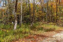 LOT 8 GREEN ACRES ROAD | Flesherton Ontario | Slide Image Six