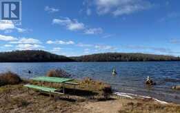 1820 &1814 RIDING RANCH ROAD | Machar Ontario | Slide Image Thirty-three