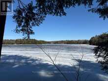0 SOUTH CRANE LAKE ROAD | The Archipelago Ontario | Slide Image Thirteen
