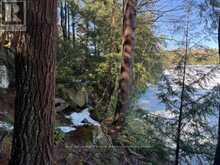 0 SOUTH CRANE LAKE ROAD | The Archipelago Ontario | Slide Image Fourteen