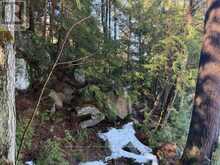 0 SOUTH CRANE LAKE ROAD | The Archipelago Ontario | Slide Image Fifteen