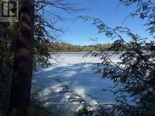 0 SOUTH CRANE LAKE ROAD | The Archipelago Ontario | Slide Image Sixteen