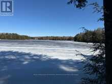 0 SOUTH CRANE LAKE ROAD | The Archipelago Ontario | Slide Image Seventeen
