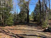 0 SOUTH CRANE LAKE ROAD | The Archipelago Ontario | Slide Image Two