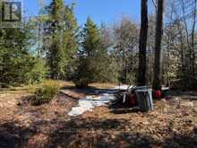 0 SOUTH CRANE LAKE ROAD | The Archipelago Ontario | Slide Image Three