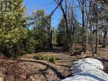 0 SOUTH CRANE LAKE ROAD | The Archipelago Ontario | Slide Image Four