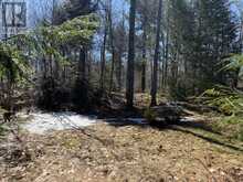 0 SOUTH CRANE LAKE ROAD | The Archipelago Ontario | Slide Image Six