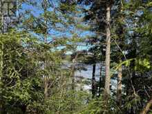 0 SOUTH CRANE LAKE ROAD | The Archipelago Ontario | Slide Image Seven