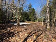 0 SOUTH CRANE LAKE ROAD | The Archipelago Ontario | Slide Image Eight