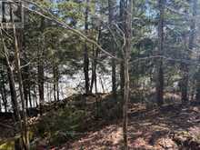 0 SOUTH CRANE LAKE ROAD | The Archipelago Ontario | Slide Image Nine