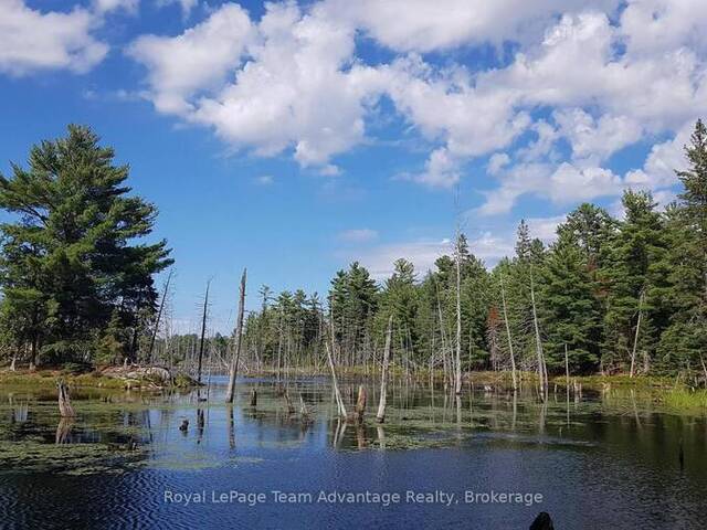 0 UNOPENED ROAD ALLOWANCE ROAD McDougall Ontario, P2A 2W7 - Vacant Land For Sale