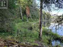 0 UNOPENED ROAD ALLOWANCE ROAD | McDougall Ontario | Slide Image Ten