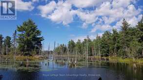 0 UNOPENED ROAD ALLOWANCE ROAD | McDougall Ontario | Slide Image One