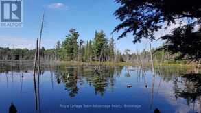 0 UNOPENED ROAD ALLOWANCE ROAD | McDougall Ontario | Slide Image Two