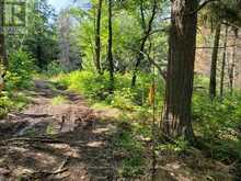 0 UNOPENED ROAD ALLOWANCE ROAD | McDougall Ontario | Slide Image Eight