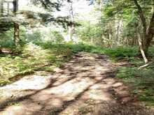 0 UNOPENED ROAD ALLOWANCE ROAD | McDougall Ontario | Slide Image Nine